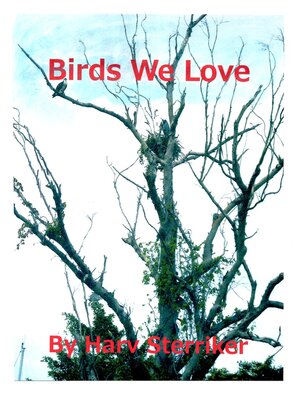 cover image of Birds We Love